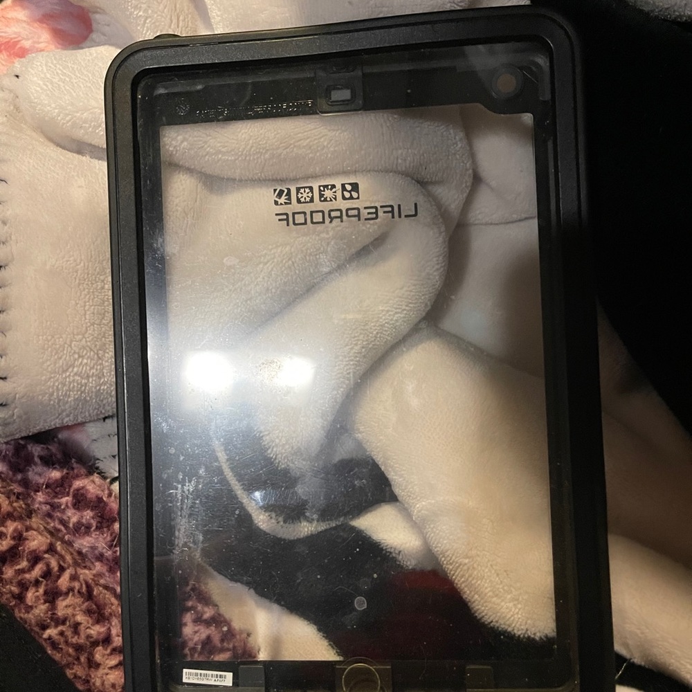 Life proof iPad mini case